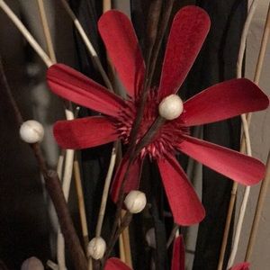 Meet your Posher, Cari